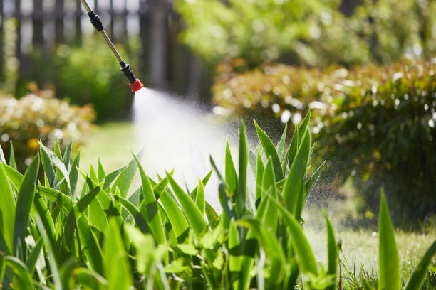 24/7 Emergency Ant Control experts in Houma, LA