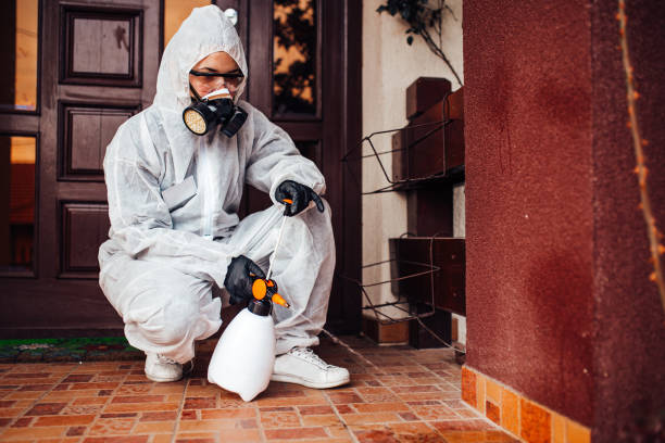 Reliable Ant Control contractor in Houma, LA by Show Me Pest Control